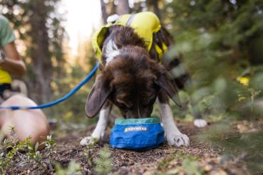 Ruffwear Trail Runner Bowl Blue Pool